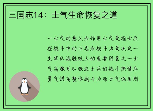 三国志14：士气生命恢复之道